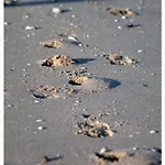Grosses In Mueggendorf Mit Garten By Interhome Оттерндорф