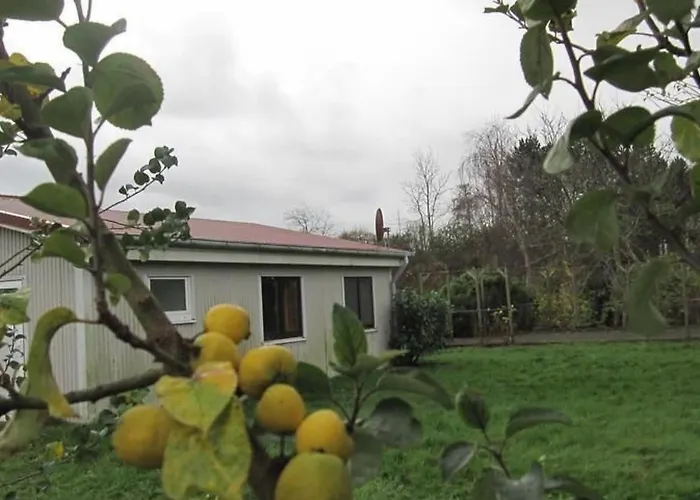Grosses In Mueggendorf Mit Garten By Interhome